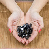 Shungite Elite Stones for Water Purification ,