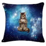 Astral Travel Cat Throw Pillow Covers Astral Travel Cat Throw Pillow Covers