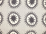 Preorder: Justina Blakeney Soleil Shower Curtain