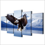 Soaring Eagle