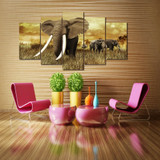 Elephant Tusks