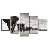 BEST SELLER Elephant Heard