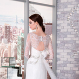 Beading Crystal Lace Mermaid Wedding Dresses With Long Sleeve Beading Crystal Lace Mermaid Wedding Dresses With Long Sleeve