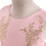 Princess Dress for Girls Lace Tulle Elegant Wedding Flower Party