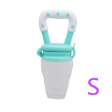 Fresh Fruit Pacifier