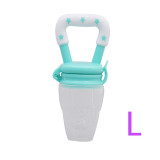 Fresh Fruit Pacifier