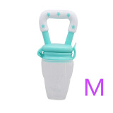 Fresh Fruit Pacifier