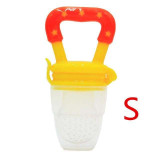 Fresh Fruit Pacifier