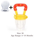 Fresh Fruit Pacifier