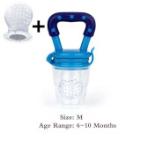 Fresh Fruit Pacifier
