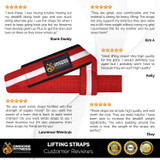 DMoose Fitness Lifting Straps for Weightlifting, Crossfit, or Powerlifting with Soft Neoprene Padded Wrist Support for Max Grip Strength, Deadlifts and Barbell Stability