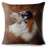Cute Australian Shepherd Dog Print Cushion Cover 45x45 Square Linen Pillow Covers Throw Pillows Cases Sofa Home Decor Pillowcase
