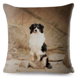 Cute Australian Shepherd Dog Print Cushion Cover 45x45 Square Linen Pillow Covers Throw Pillows Cases Sofa Home Decor Pillowcase