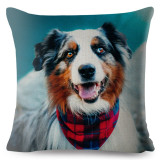 Cute Australian Shepherd Dog Print Cushion Cover 45x45 Square Linen Pillow Covers Throw Pillows Cases Sofa Home Decor Pillowcase