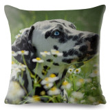 Dalmatian Pet Dog Print Cushion Cover Beige Linen Pillow Covers 45x45 Square Pillows Case