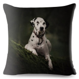 Dalmatian Pet Dog Print Cushion Cover Beige Linen Pillow Covers 45x45 Square Pillows Case