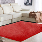 Floor Rug 80x120CM Polyester Fiber Anti-Skid Shaggy Fluffy Fluffy Rugs Area Rug Carpet Floor