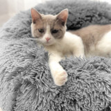 Soft And Comfortable Pet Beds
