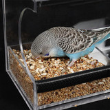 Solar Window Bird Feeder
