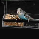 Solar Window Bird Feeder