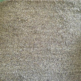 Super Absorbent Magic Doormat