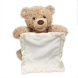 Peek-A-Boo Teddy