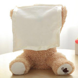 Peek-A-Boo Teddy