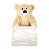 Peek-A-Boo Teddy