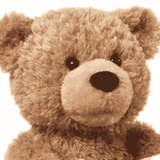 Peek-A-Boo Teddy