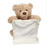 Peek-A-Boo Teddy