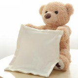 Peek-A-Boo Teddy