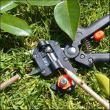 GARDEN GRAFTING TOOL