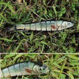 Life-like Fishing Lure