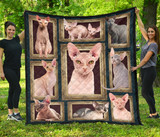 Sphynx Cat 3D