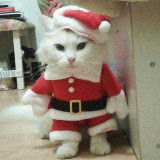 Funny Cat Costumes Santa Cosplay Pet Apparel Halloween Clothes