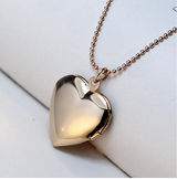 Dog Paw Print Photo Frames Locket Necklaces Offer