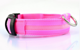 LED Pet Dog Collar, Night Safety Flashing Glow In The Dark Offer