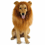 Pet Lion Mane  for Large Dog costume Pet Lion Mane  for Large Dog costume
