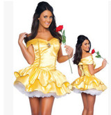 Cinderella Snow White Princess Fairy Costumes