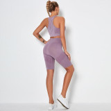 Seamless High Waist Cycling Short and Top Set