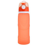 Collapsible Travel Water Bottle