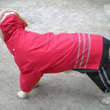Pet Dog Rain Coat Fashion Dogs Puppy Casual Waterproof