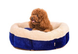 Soft round Detachable washable small dog cat pet Bed Kennel soft warm Fleece Cozy Pet House sofa bed Warm cat  pet products