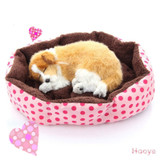 Promotion ! Pet Products Cotton Pet Dog Bed for Cats Dogs Small Animals Bed House Pet Beds Cushion High Quality Cheap D0091