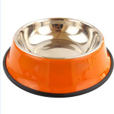Colored Stainless Steel Travel Food Water Bowls