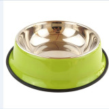 Colored Stainless Steel Travel Food Water Bowls