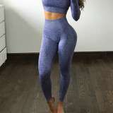 High Waist Push Up Fitness Running Yoga Seamless Leggings and Pants for Women