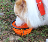 Pet Travel Collapsible Silicone Food/Water Bowl