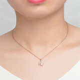 Pet Lover's Paw Necklace - Rose Gold