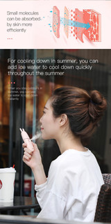 Portable Handheld Face Steamer